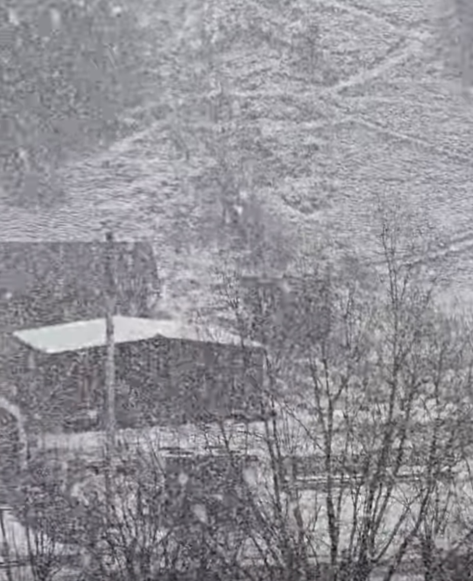 Ninsoare de poveste în prima zi de primăvară