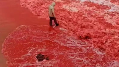 „Ploaia transformă plaja din Iran”