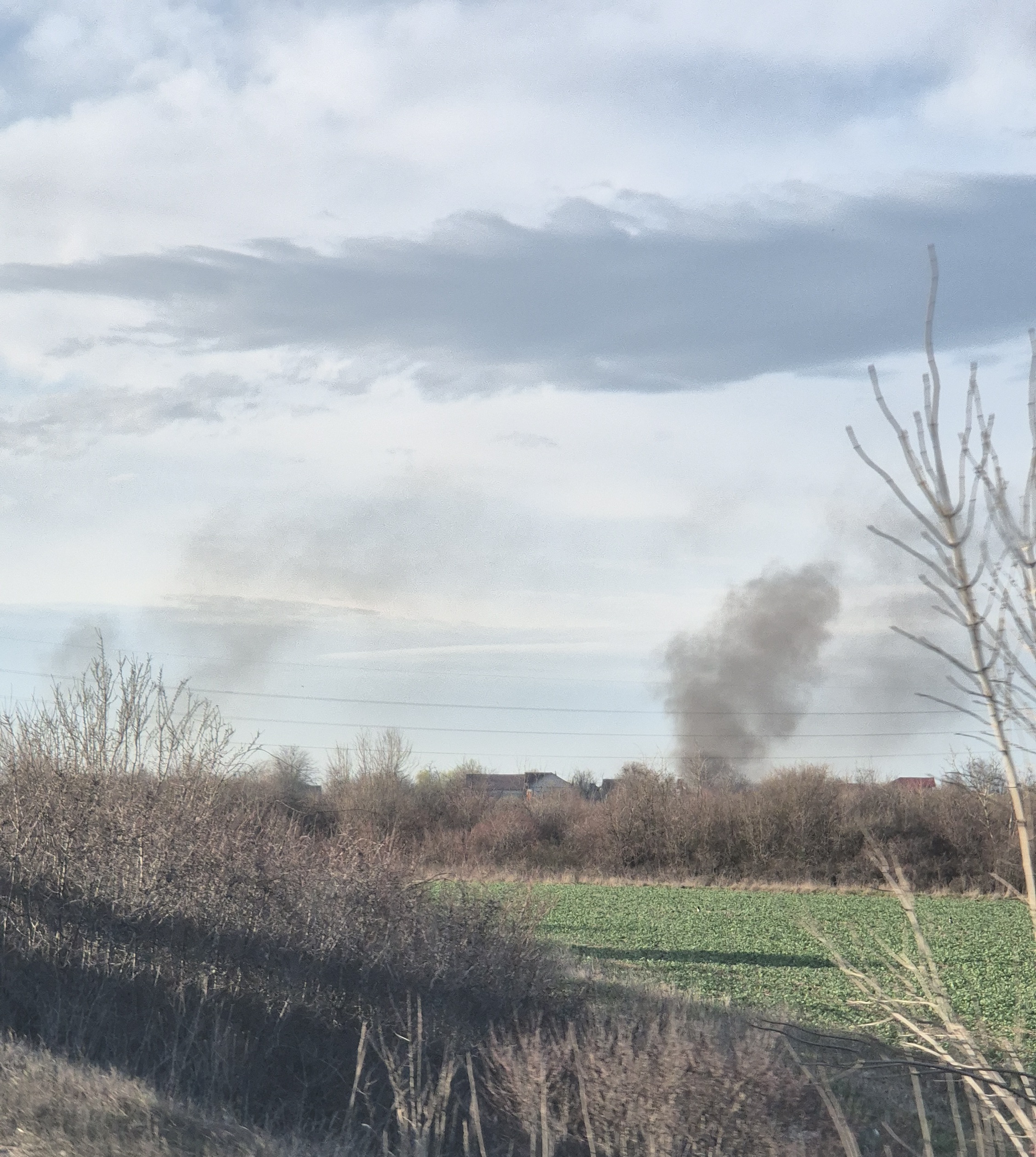Pompierii au stins două incendii de vegetație