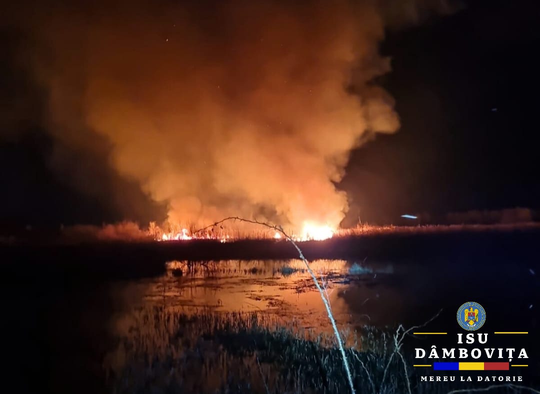 Pompierii au stins trei incendii de vegetație