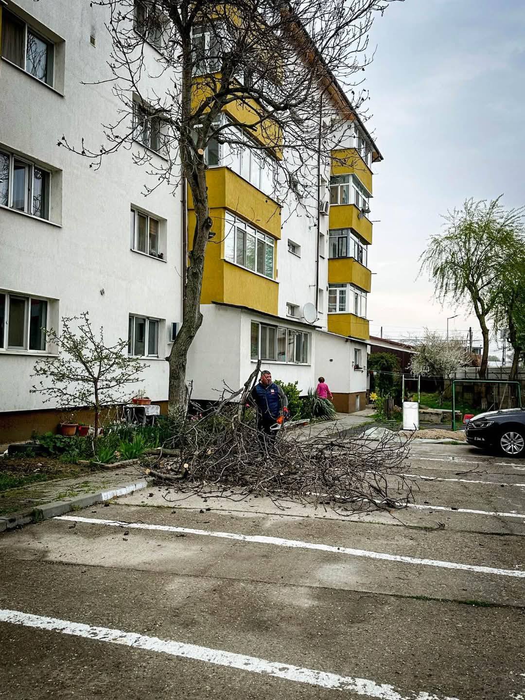 Primăria Titu îmbunătățește orașul