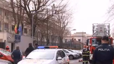 "Stegarul Dac" protestează în copac