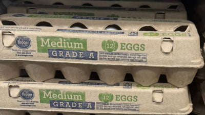 SUA caută ouă din Europa, în ciuda taxelor