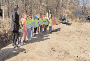 Surplus de 106.000 puieți forestieri