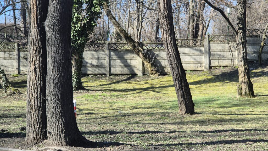 Val de aer călduț în România, 5-13 martie