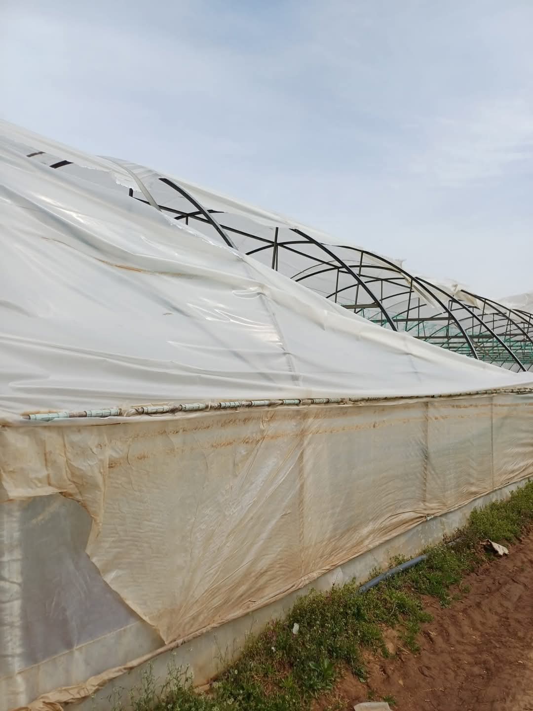 Vântul solid a provocat pagube în Băleni