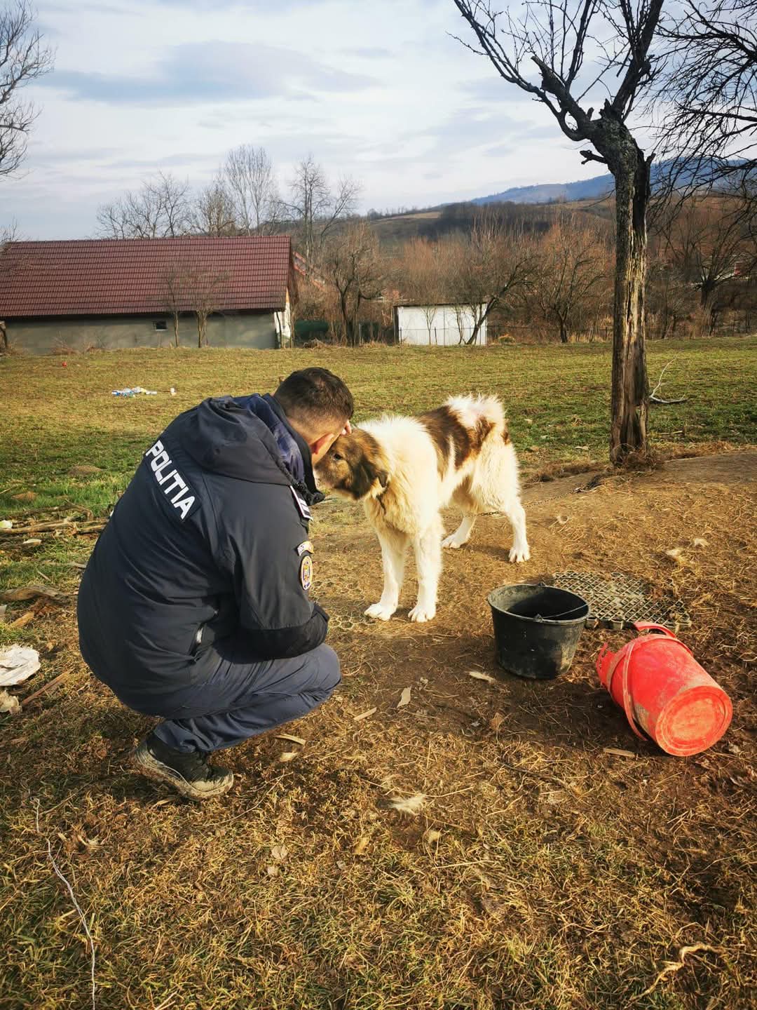 Apel la iubire pentru viețuitoarele nevoiașe
