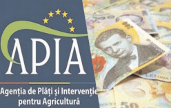 APIA primește cereri pentru împăduriri