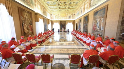 Cine va urma după Papa Francisc?