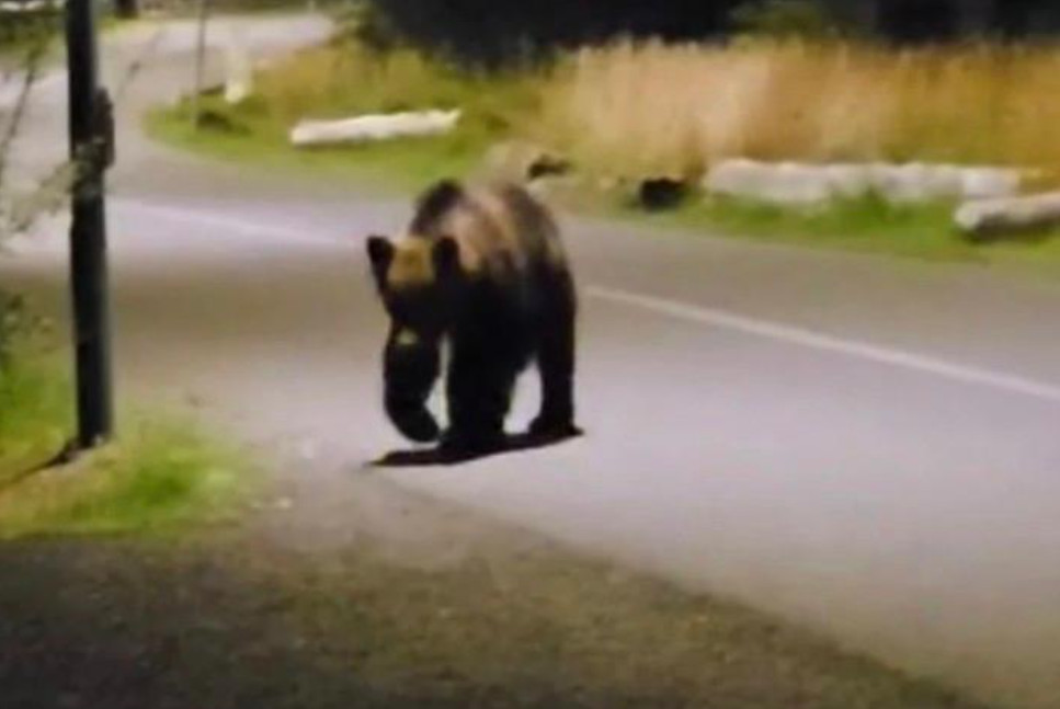 Ciolacu cere măsuri urgente pentru cetățeni