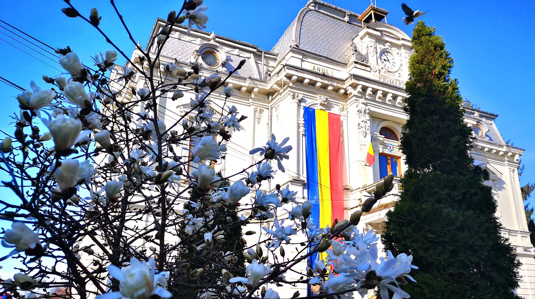 Convocarea Consiliului Local Târgovişte