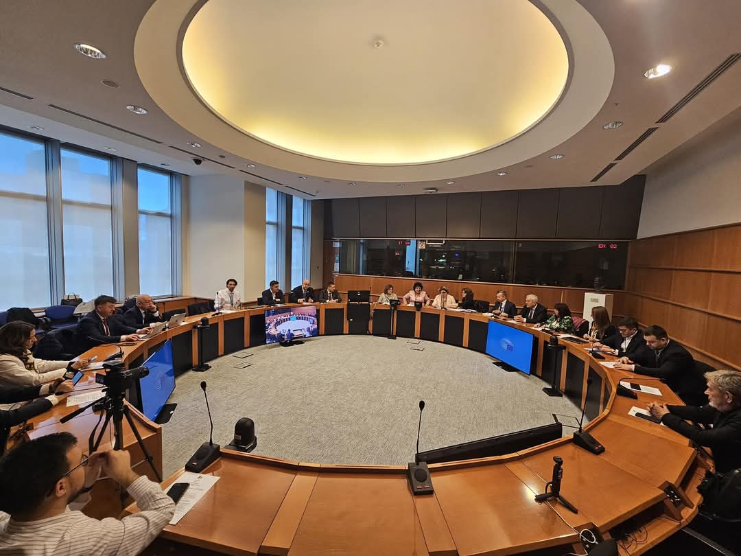 Corneliu Ștefan la Sesiunea Comitetului European