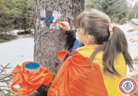 Elevi în proiect de ecosisteme durabile