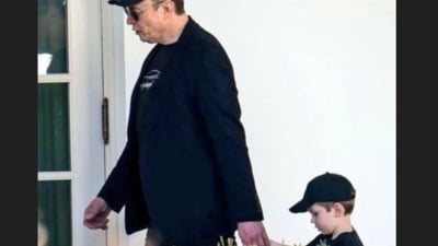 Haremul lui Elon Musk și valorile false