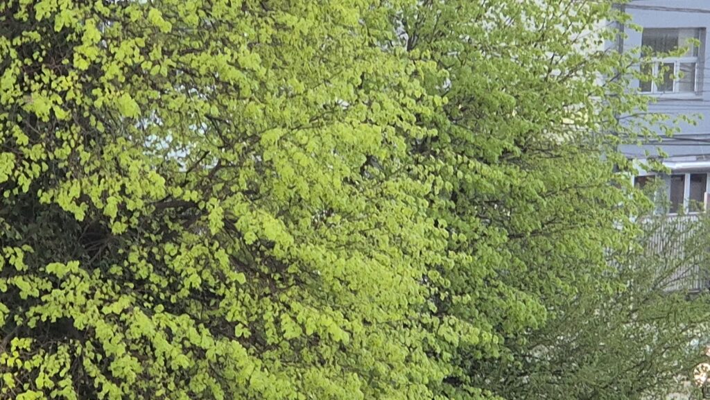 Meteo: Căldură neobișnuită în aprilie