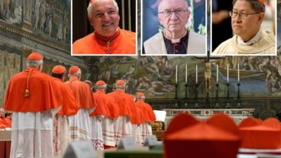 Moștenirea Papei Francisc în Biserica Catolică