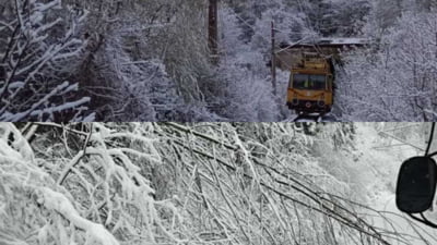 Ninsoarea afectează traficul feroviar