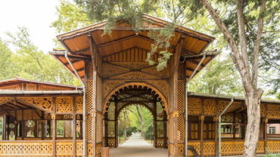 Parcul-pădure din România cu veverițe