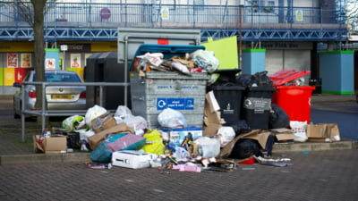 Șobolani și mâncare putrezită în oraș