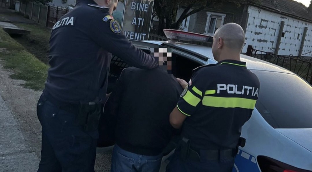 Șoferi prinși cu mașini neînmatriculate