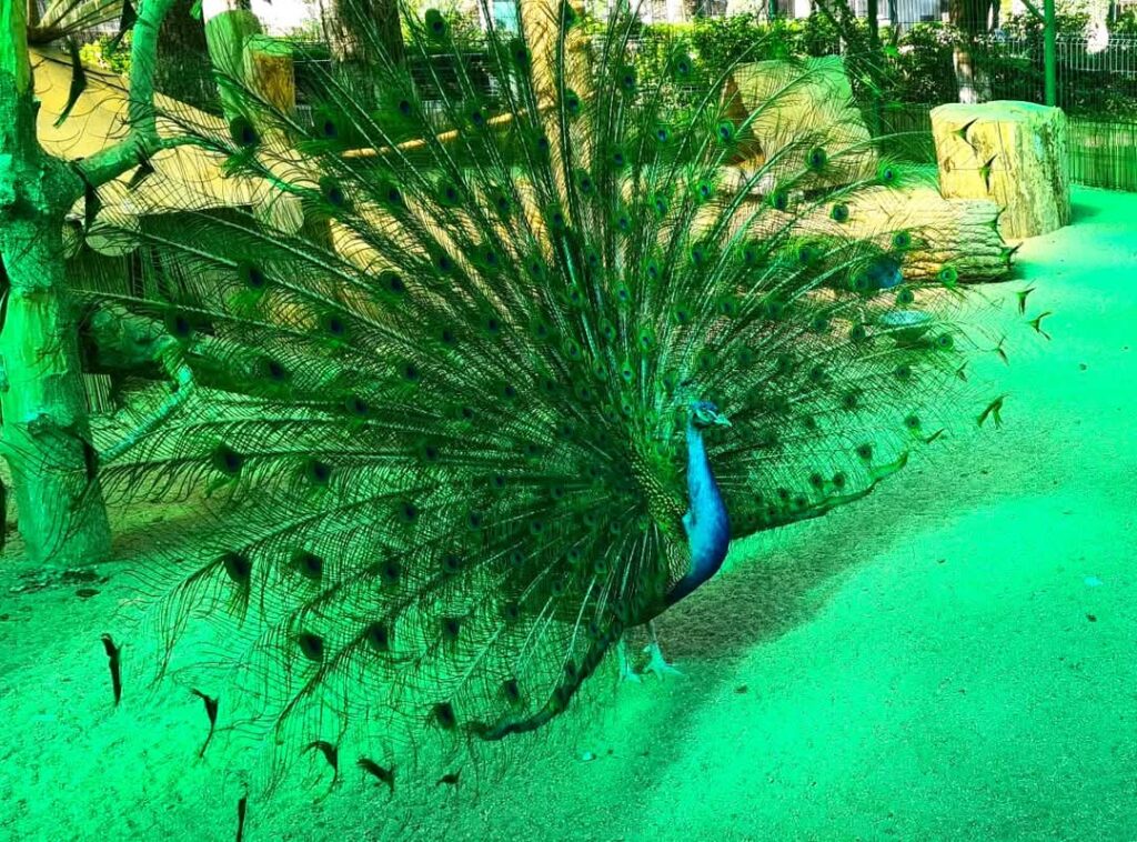 Vizită educativă la Zoo Târgoviște