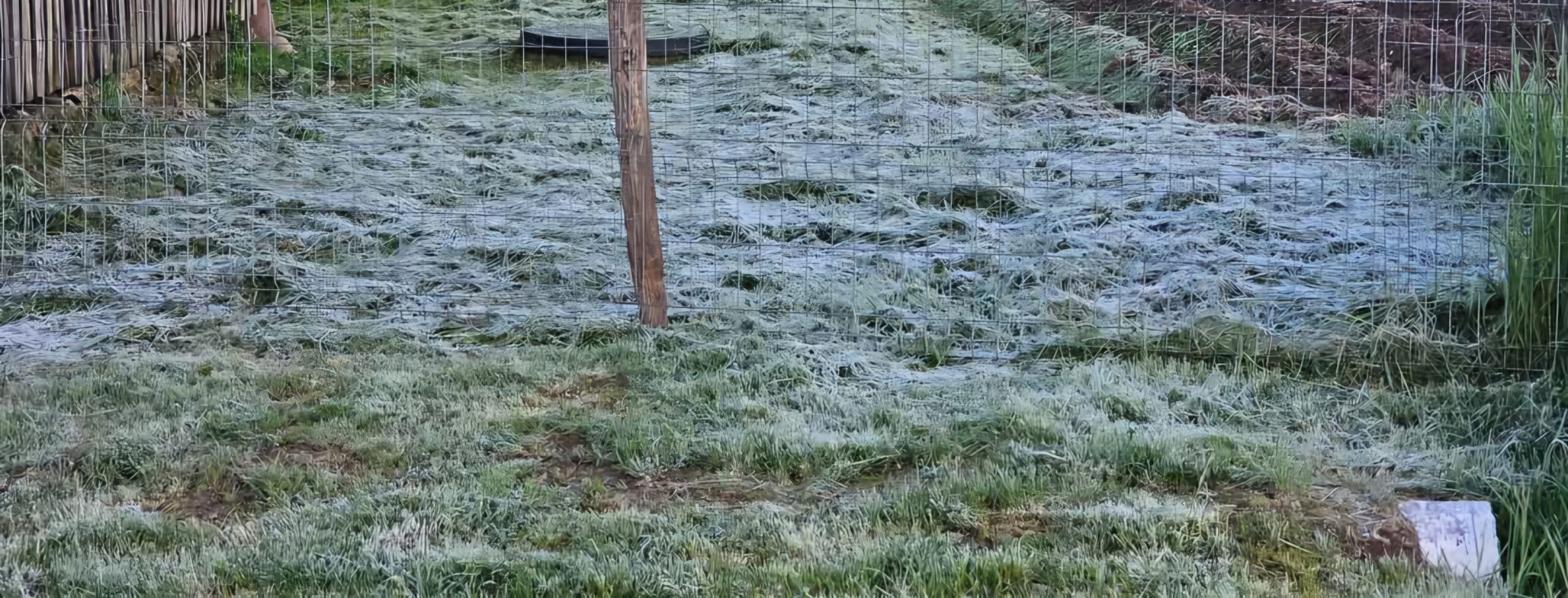 Cea mai răcoros dimineață de mai din 50 de ani