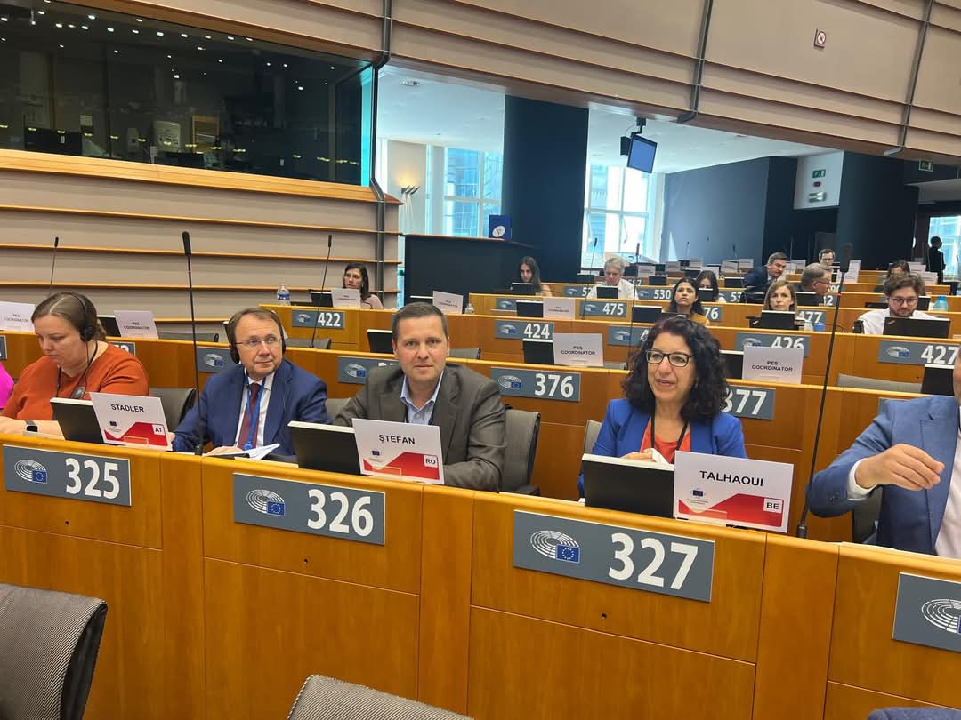 Dâmbovița, voce activă în Europa