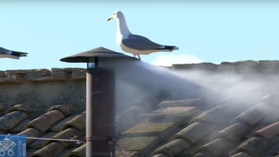 Fumul alb la Vatican: A fost ales Papă