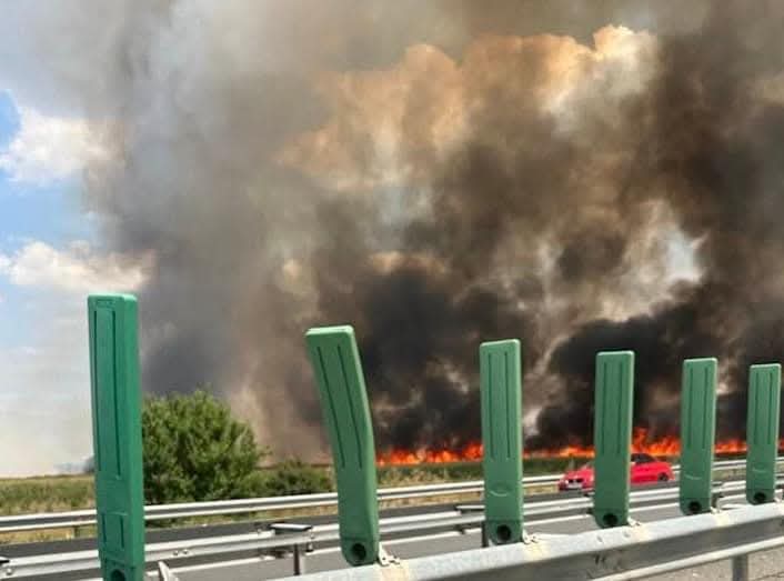 Incendiu de vegetație pe A1, circulația oprită