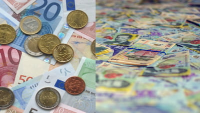 Leul românesc, volatilitate rară observată