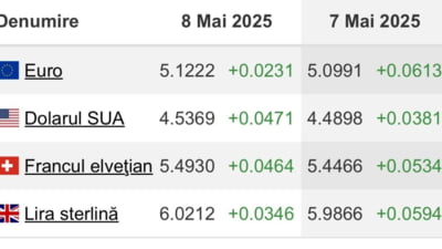 Leul se depreciază Viteză, curs istoric atins
