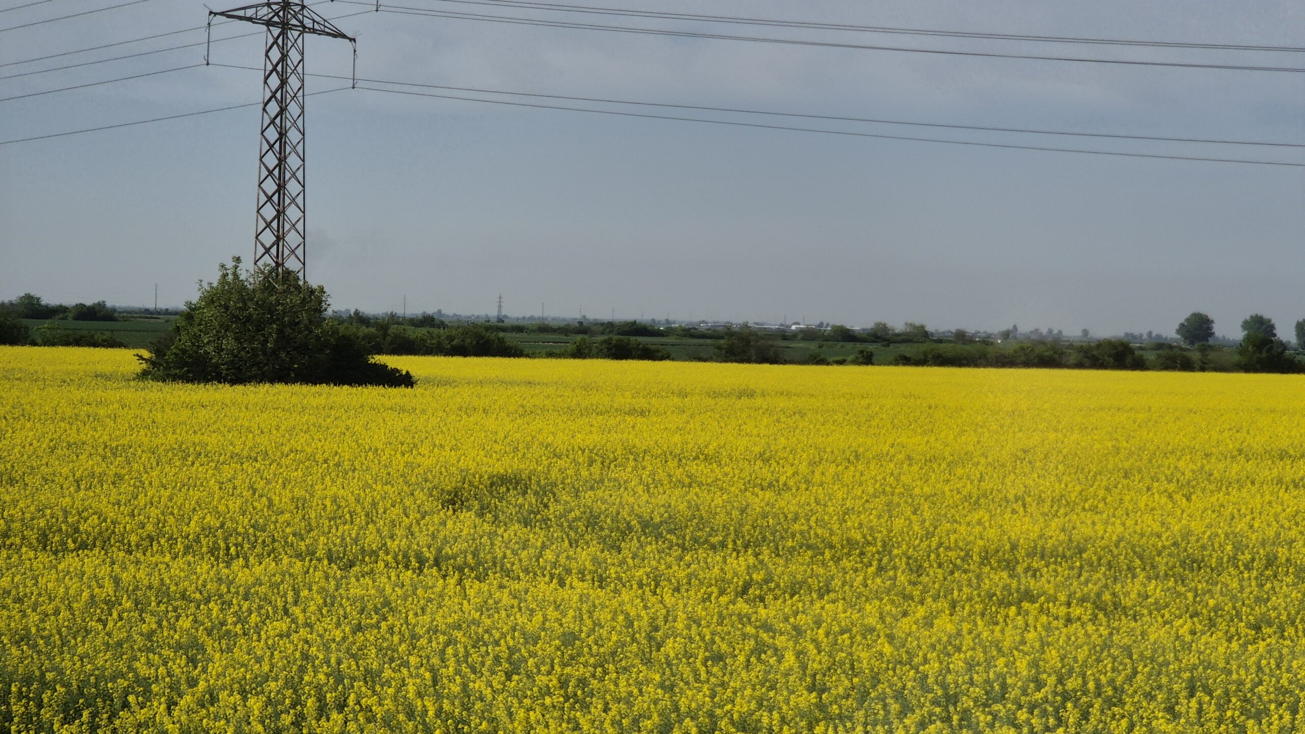 Vreme capricioasă în toată țara!