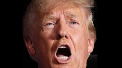 "Critica fostului consilier la adresa lui Trump"