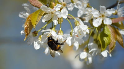 Încălzire spectaculoasă: 10 la 25 de grade