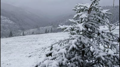 Ninsori la munte și vânt solid