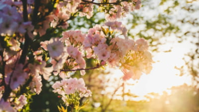 Vreme extremă: 24 de grade, apoi ploi