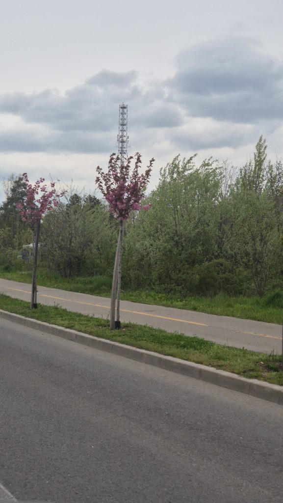 Vremea se răcește Elementar în zilele următoare