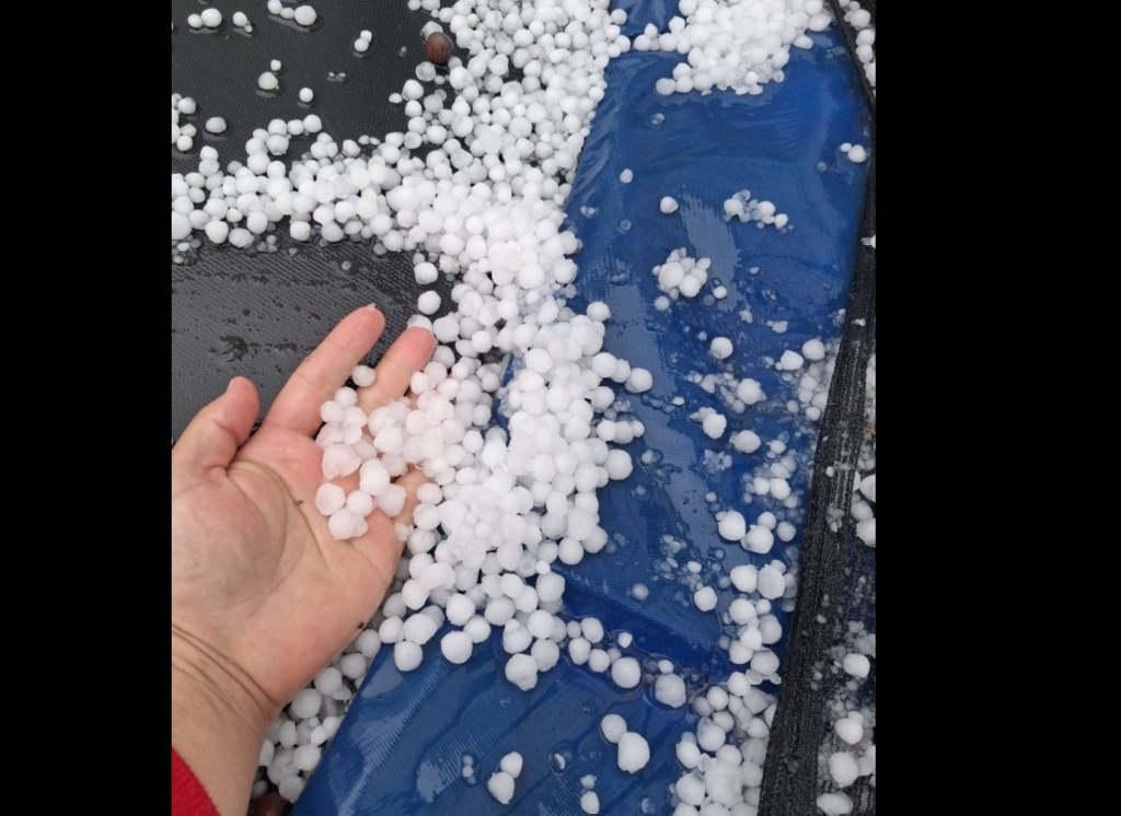 Alerte meteo: cod portocaliu de vijelii