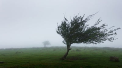 Alerte meteorologice: Cod galben în țară