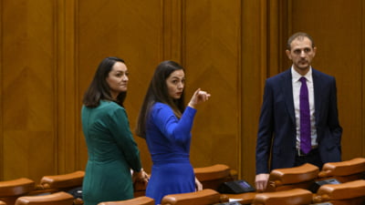 Anamaria Gavrilă: "USR, partidul exterminatorilor"