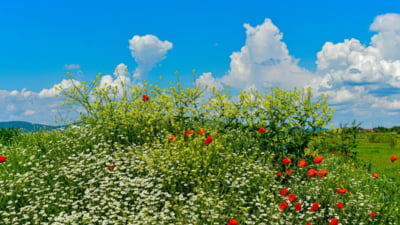 Cele mai calde zone din România astăzi