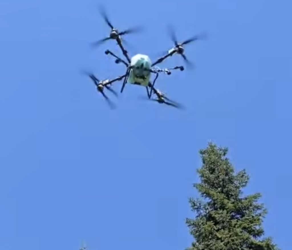 Drone pentru protecția plantației de brad
