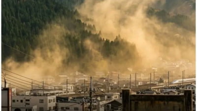 Japonia se confruntă cu alergii masive