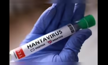 OMS clarifică: Hantavirus nu e Covid-19