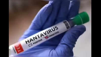 Spania investighează un caz suspect de hantavirus