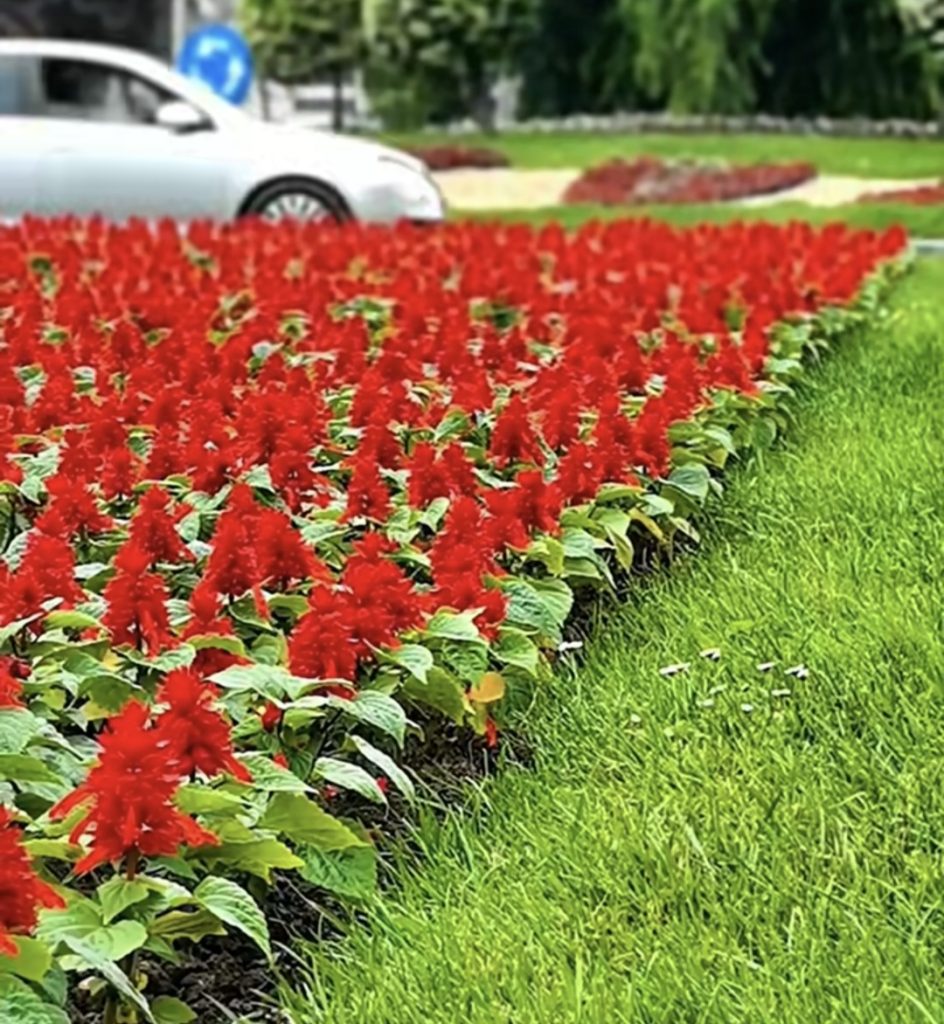 Târgoviște, un oraș verde și remarcabil