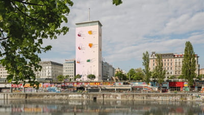 Viena: locuitorii învață să facă sarmale